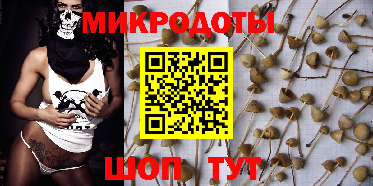 Псилоцибиновые грибы мухоморы Алексин