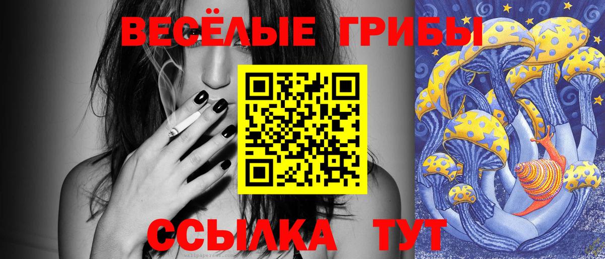 Алексин  Псилоцибиновые грибы прущие грибы  Вход с VPN 